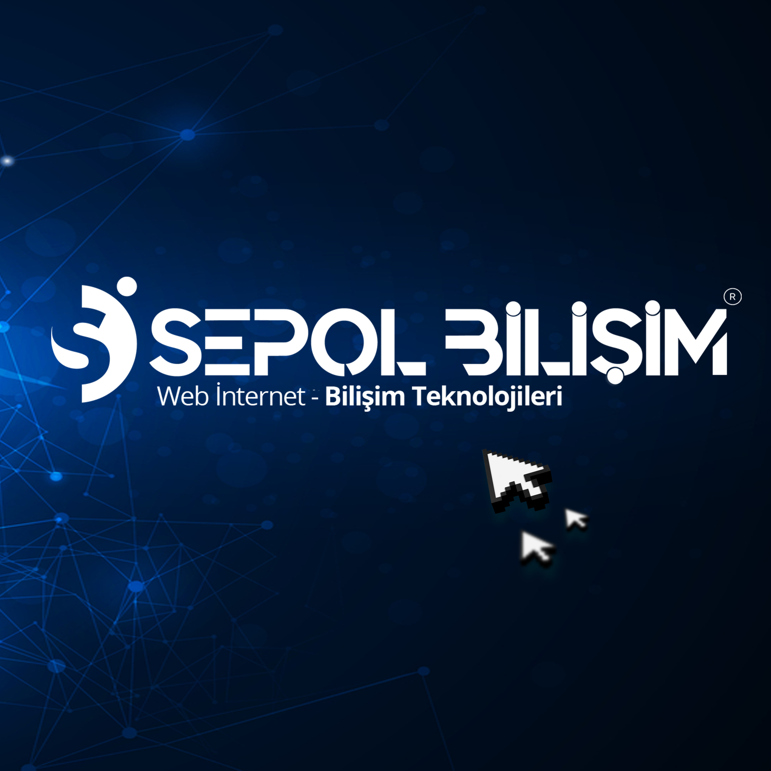 Profesyonel Web Site Yazılımı